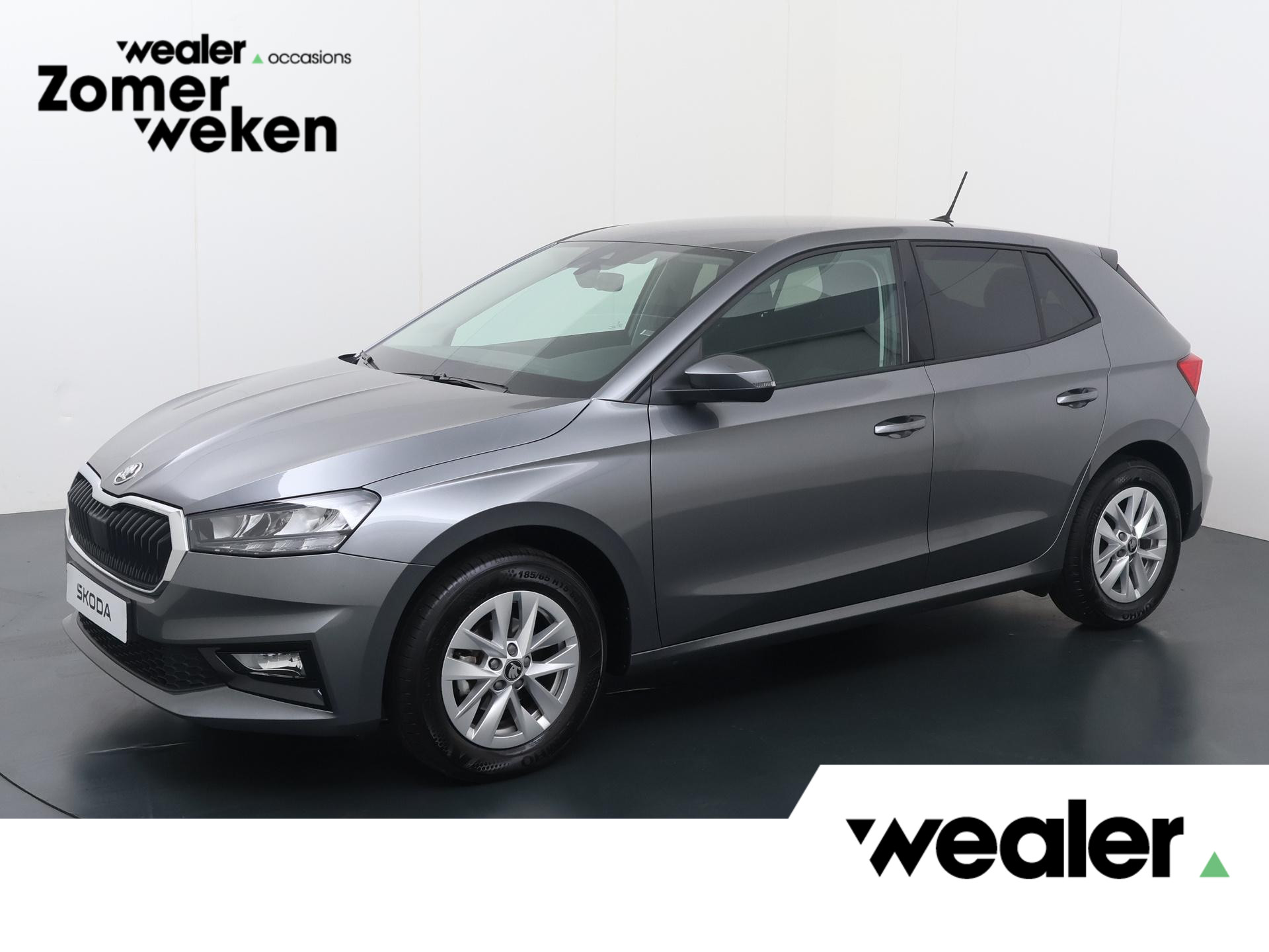 Skoda Fabia 1.0 TSI Selection